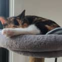 Photo of Chloe