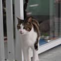 Photo of Pablo