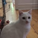 Photo of Aurora