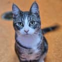 Photo of Timmy
