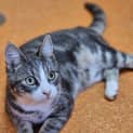Photo of Timmy