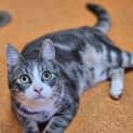 Photo of Timmy