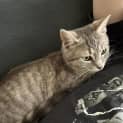 Photo of Max