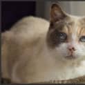 Photo of Kiki