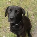 Photo of Ryki