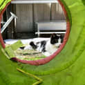 Photo of Arya