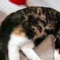 Photo of Zoey