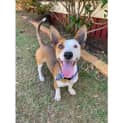 Photo of Zoe