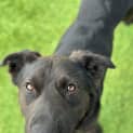 Photo of Jet