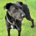 Photo of Jet