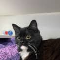 Photo of Luna