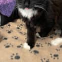 Photo of Luna