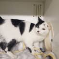 Photo of Razzamatazz