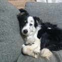 Photo of Daniella