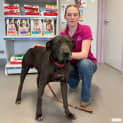 Photo of Zulu