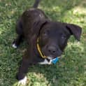 Photo of Astro
