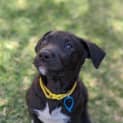 Photo of Astro