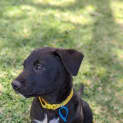 Photo of Astro