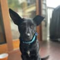 Photo of Lass
