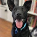 Photo of Lass