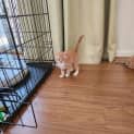 Photo of Tweety