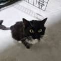 Photo of Teddy