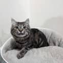 Photo of Lj Silver   Located In Sydenham