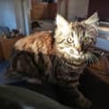 Photo of Lj Silver   Located In Sydenham