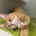 Photo of Bertha