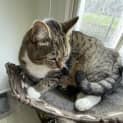 Photo of Edna