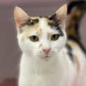 Photo of Luna