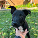 Photo of Murphy