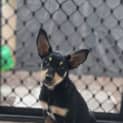 Photo of Nyx