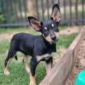 Photo of Nyx