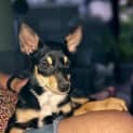 Photo of Nyx