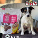 Photo of Ryobi