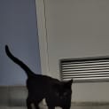 Photo of Todd