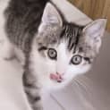 Photo of Churro