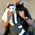 Photo of Moggs / Cloud