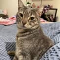 Photo of Minto