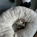 Photo of Tiny