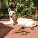 Photo of Maggie