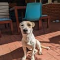 Photo of Maggie