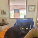 Photo of Lucy