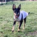 Photo of Stormi