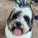 Photo of Billy Boy