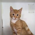 Photo of Ken 