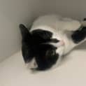 Photo of Murphy