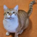 Photo of Marlowe
