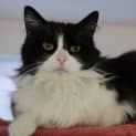 Photo of Maya